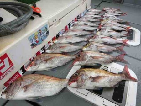 遊漁船 セトマリン 釣果