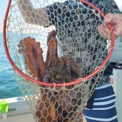 遊漁船 ニライカナイ 釣果