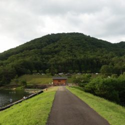 フィッシングレイクたかみや 釣果