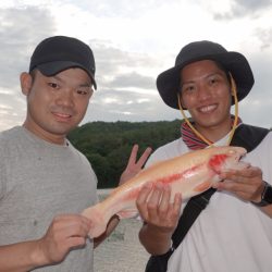 フィッシングレイクたかみや 釣果