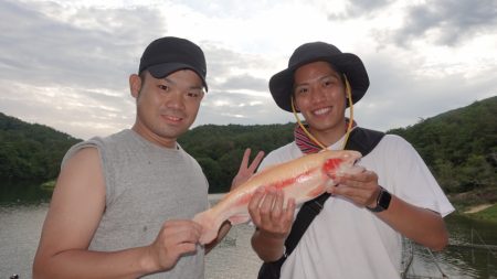 フィッシングレイクたかみや 釣果