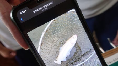 フィッシングレイクたかみや 釣果