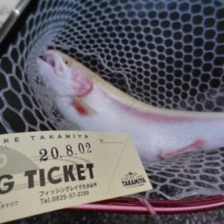 フィッシングレイクたかみや 釣果