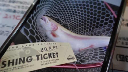 フィッシングレイクたかみや 釣果