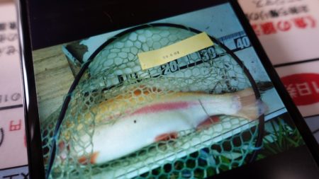 フィッシングレイクたかみや 釣果