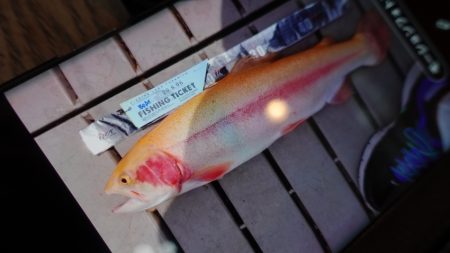 フィッシングレイクたかみや 釣果