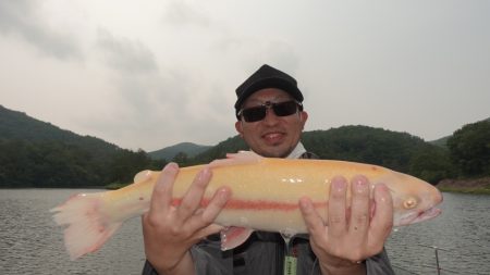フィッシングレイクたかみや 釣果