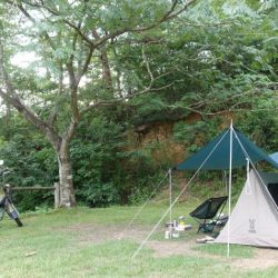 フィッシングレイクたかみや 釣果