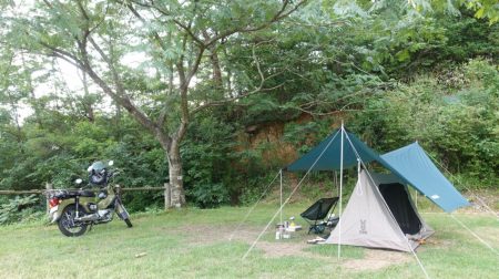 フィッシングレイクたかみや 釣果