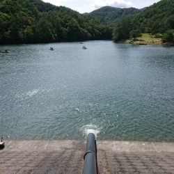 フィッシングレイクたかみや 釣果