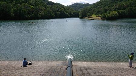 フィッシングレイクたかみや 釣果