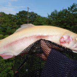 フィッシングレイクたかみや 釣果