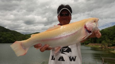 フィッシングレイクたかみや 釣果