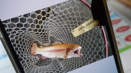 フィッシングレイクたかみや 釣果