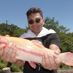 フィッシングレイクたかみや 釣果