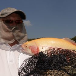 フィッシングレイクたかみや 釣果