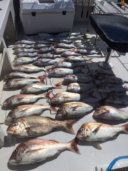 フィッシングボートACE（エース） 釣果