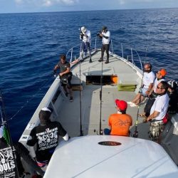 へいみつ丸 釣果