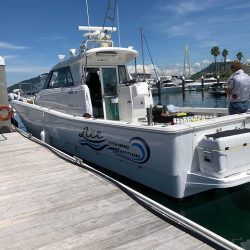 フィッシングボートACE（エース） 釣果