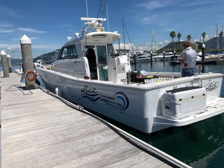 フィッシングボートACE（エース） 釣果