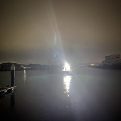 フィッシングボートACE(エース) 釣果