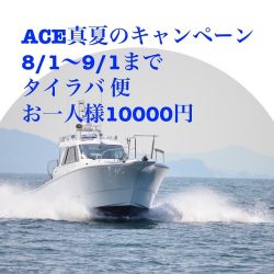 フィッシングボートACE(エース) 釣果