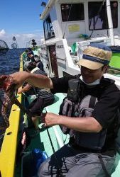 KONAYAーMARU(こなや丸) 釣果