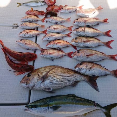 フィッシングボートACE(エース) 釣果