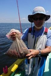 KONAYAーMARU(こなや丸) 釣果