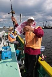 KONAYAーMARU(こなや丸) 釣果