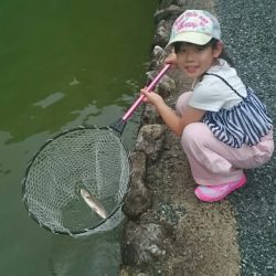 フィッシングエリア帝釈 釣果