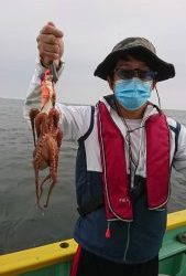 KONAYAーMARU(こなや丸) 釣果