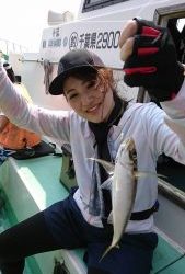 KONAYAーMARU(こなや丸) 釣果