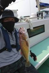 KONAYAーMARU(こなや丸) 釣果