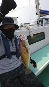 KONAYAーMARU(こなや丸) 釣果