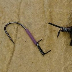 KONAYAーMARU(こなや丸) 釣果