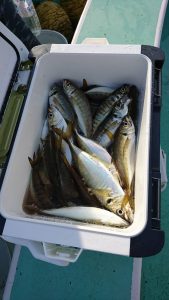 ＫＯＮＡＹＡｰＭＡＲＵ（こなや丸） 釣果