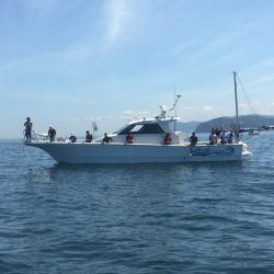 フィッシングボートACE(エース) 釣果