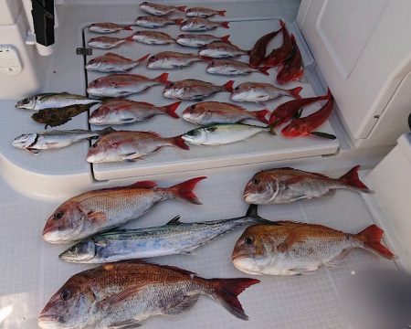 フィッシングボートACE（エース） 釣果