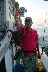 恵比寿丸(兵庫) 釣果