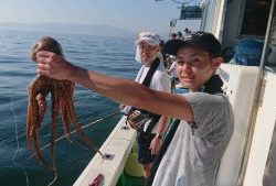 恵比寿丸(兵庫) 釣果