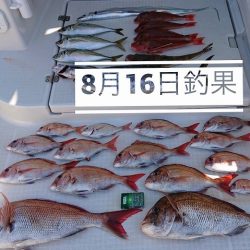 フィッシングボートACE（エース） 釣果