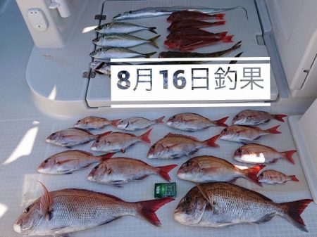 フィッシングボートACE（エース） 釣果