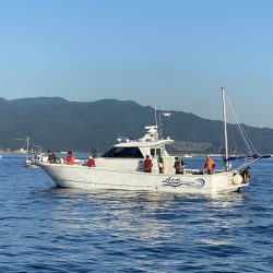 フィッシングボートACE(エース) 釣果