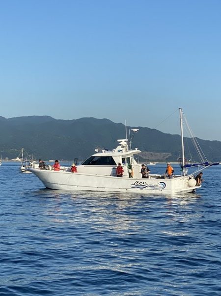 フィッシングボートACE(エース) 釣果