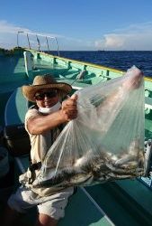 KONAYAーMARU(こなや丸) 釣果