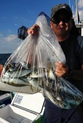 KONAYAーMARU(こなや丸) 釣果