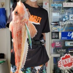 遊漁船　ニライカナイ 釣果