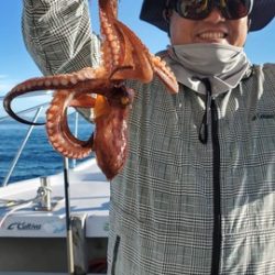 遊漁船　ニライカナイ 釣果