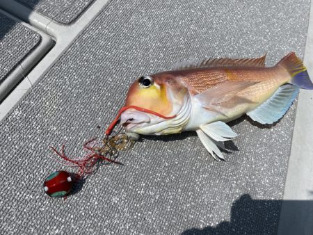 まるいち丸 ZERO-1 釣果